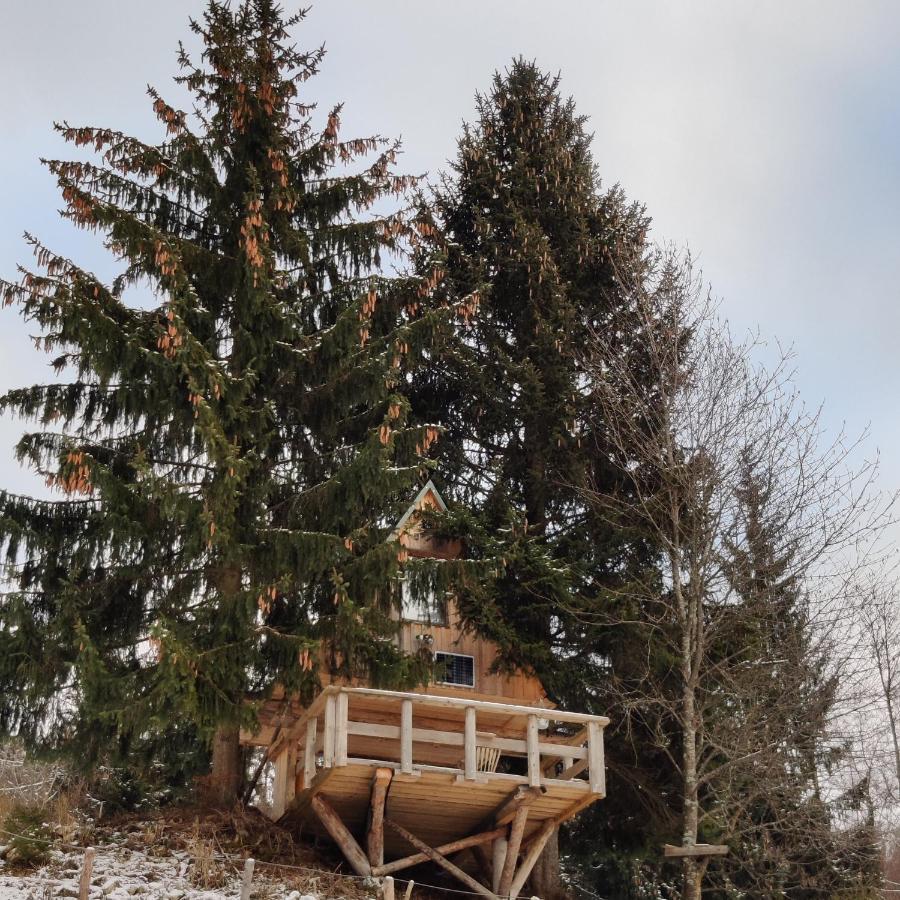 Villa Zen Among The Trees Stahovica Esterno foto